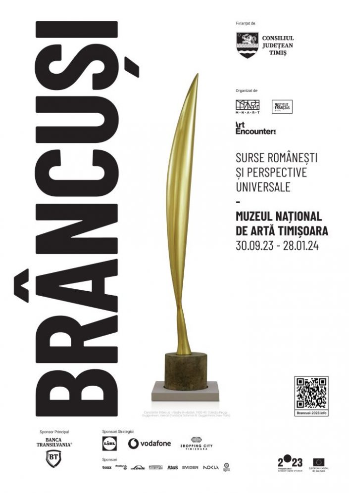 BRÂNCUȘI - Surse românești și perspective universale