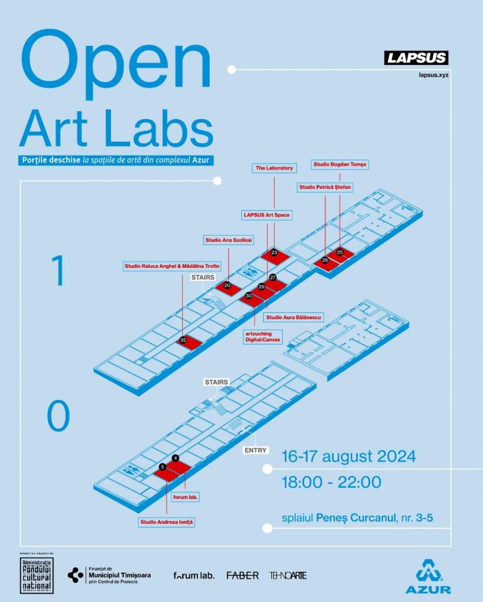 Open Studio Aura Bălănescu