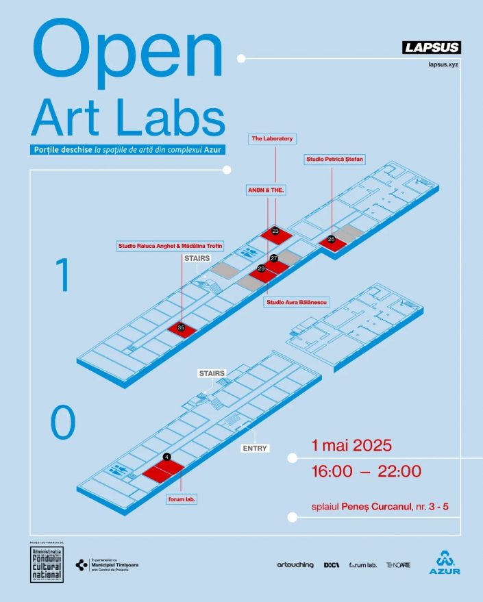 Open Studio Aura Bălănescu