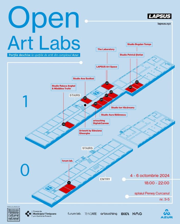 Open Studio Aura Bălănescu