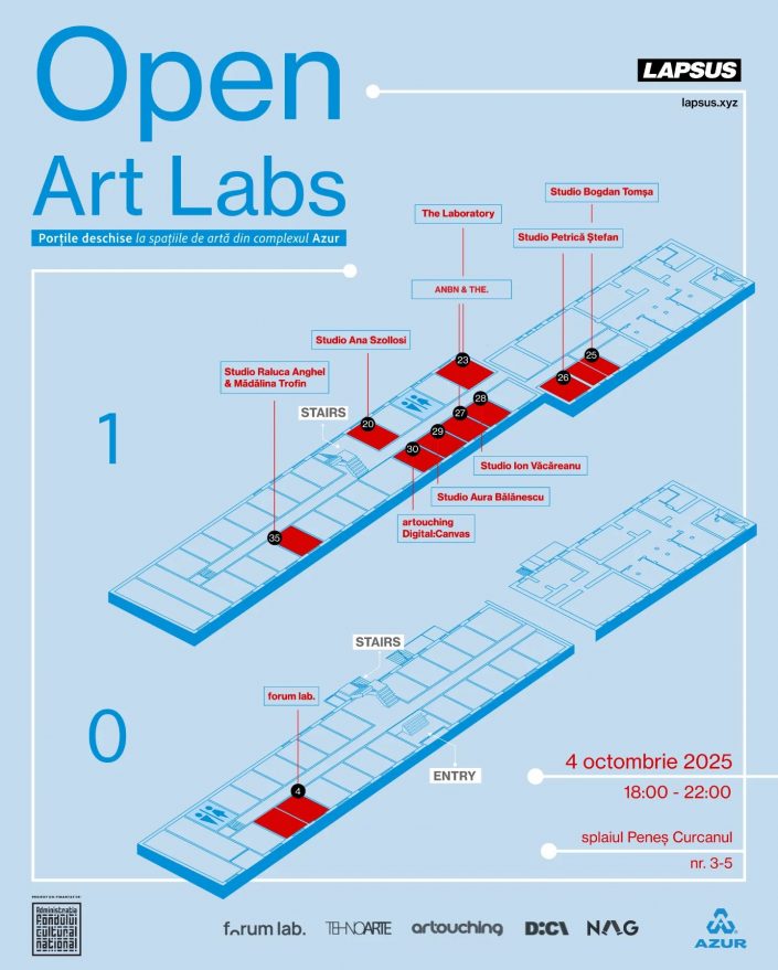 Open Studio Aura Bălănescu